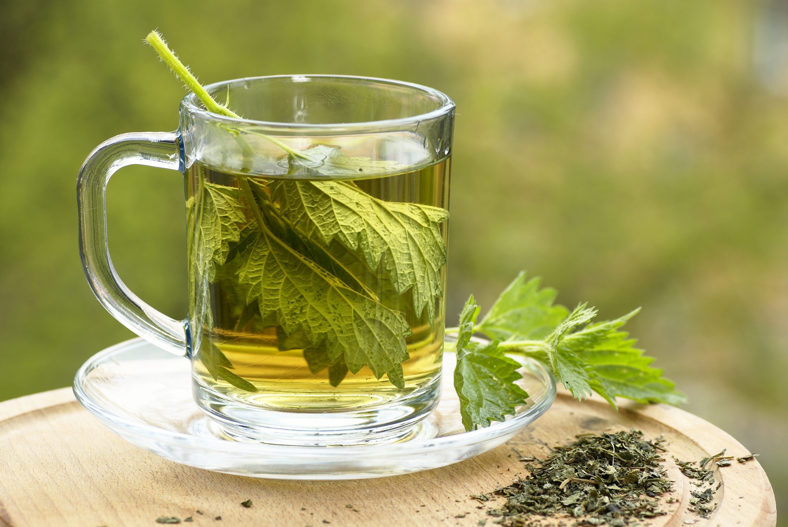 A detailed study of the benefits of nettle tea