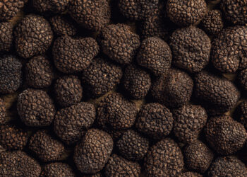 Four Reasons For the Growth of Truffles in Modern Gastronomy