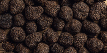 Four Reasons For the Growth of Truffles in Modern Gastronomy